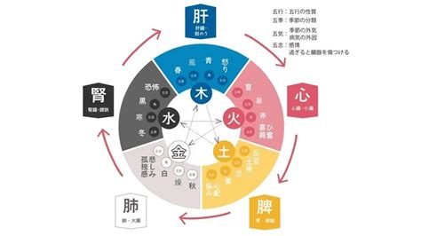 五行風水生年月日|陰陽五行占い【無料】あなたの五行属性で占う「性格・運命」